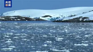 悦盈在线入口 -风云突变！波尔图窗口期内部沟通；社区盾版图或变；目标明确；年轻球员得到机会的简单介绍